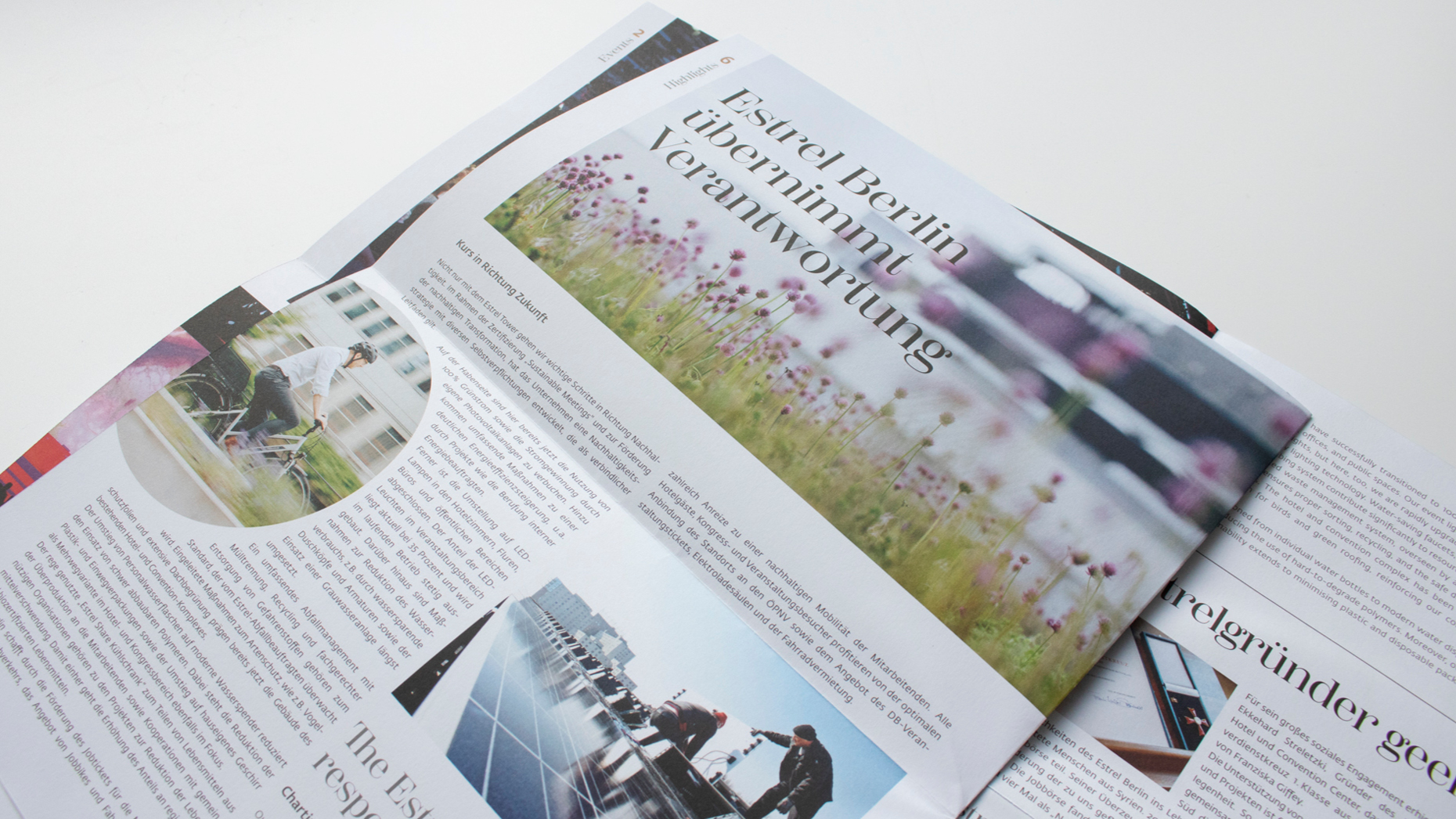 website_Projekt_PeterPaul_Agentur Hundertmark